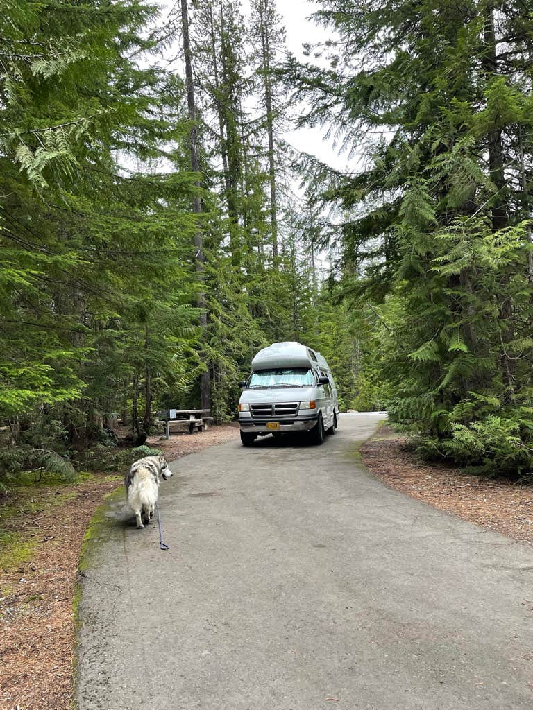 Kathy B.'s photo of camping with pets at Trillium Lake near Brightwood, OR