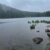 Review photo of Trillium Lake by Kathy B., July 9, 2021