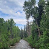 Review photo of Transfer Park Campground — San Juan National Forest by T.  F., July 9, 2021