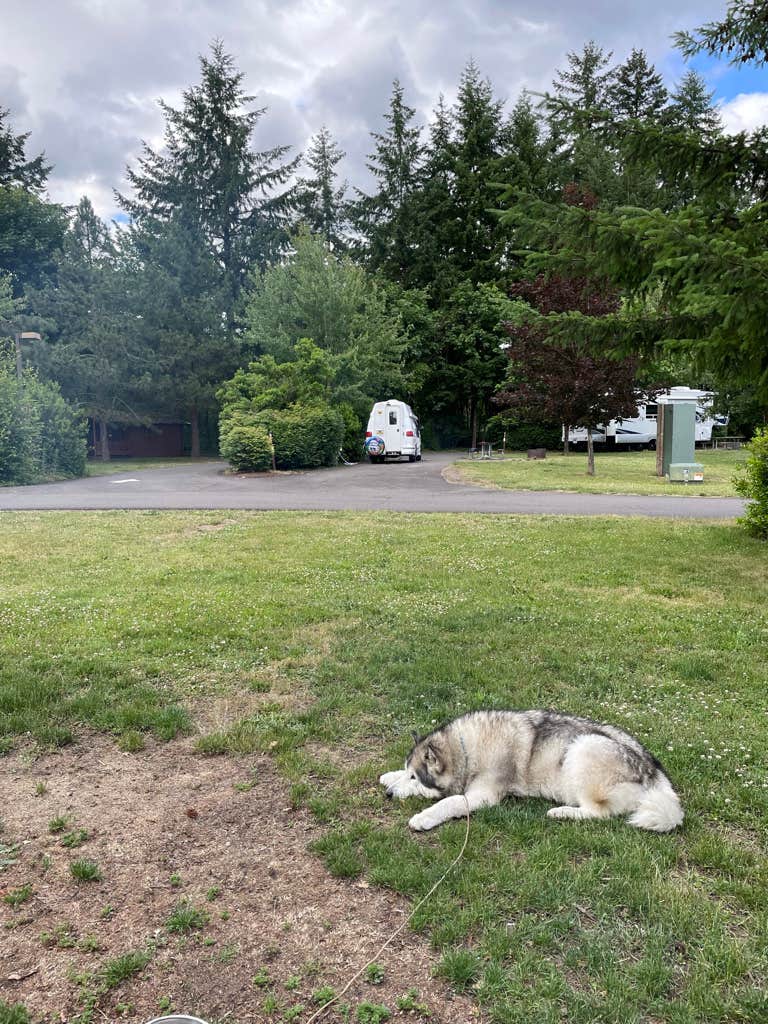 Kathy B.'s photo of camping with pets at Champoeg State Heritage Area Campground near Tigard, OR