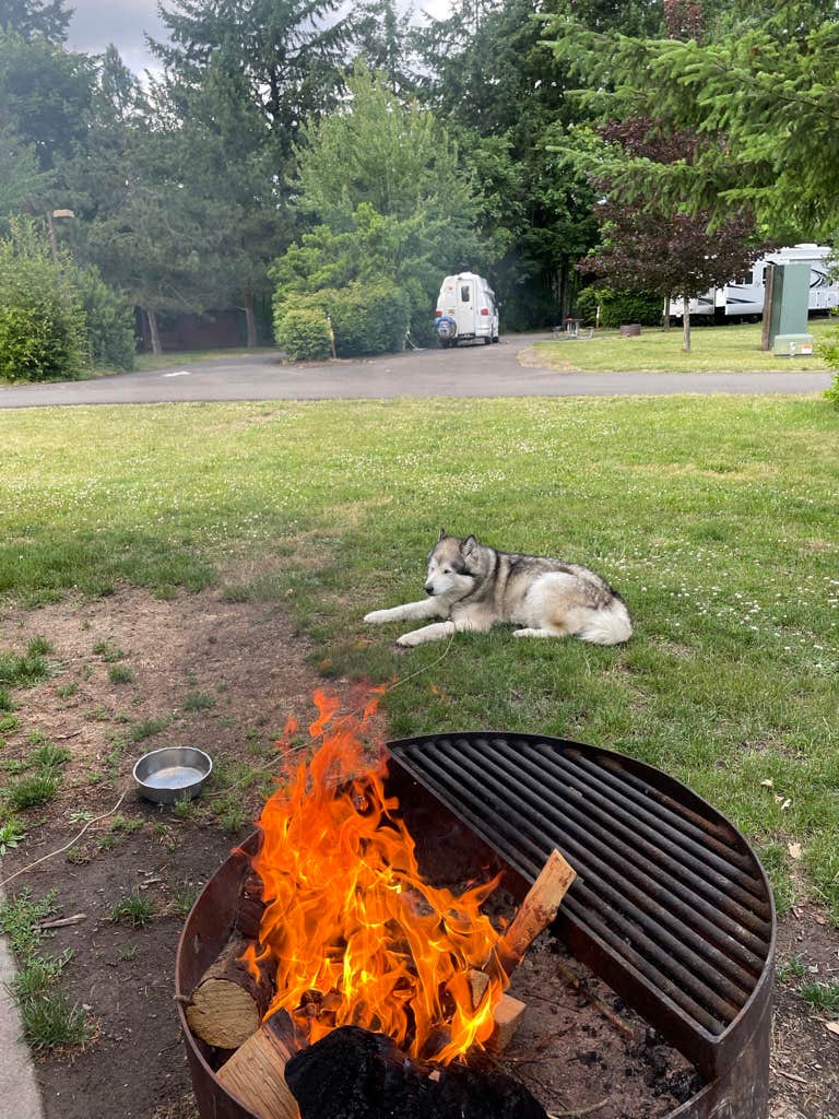 Kathy B.'s photo of camping with pets at Champoeg State Heritage Area Campground near Sublimity, OR