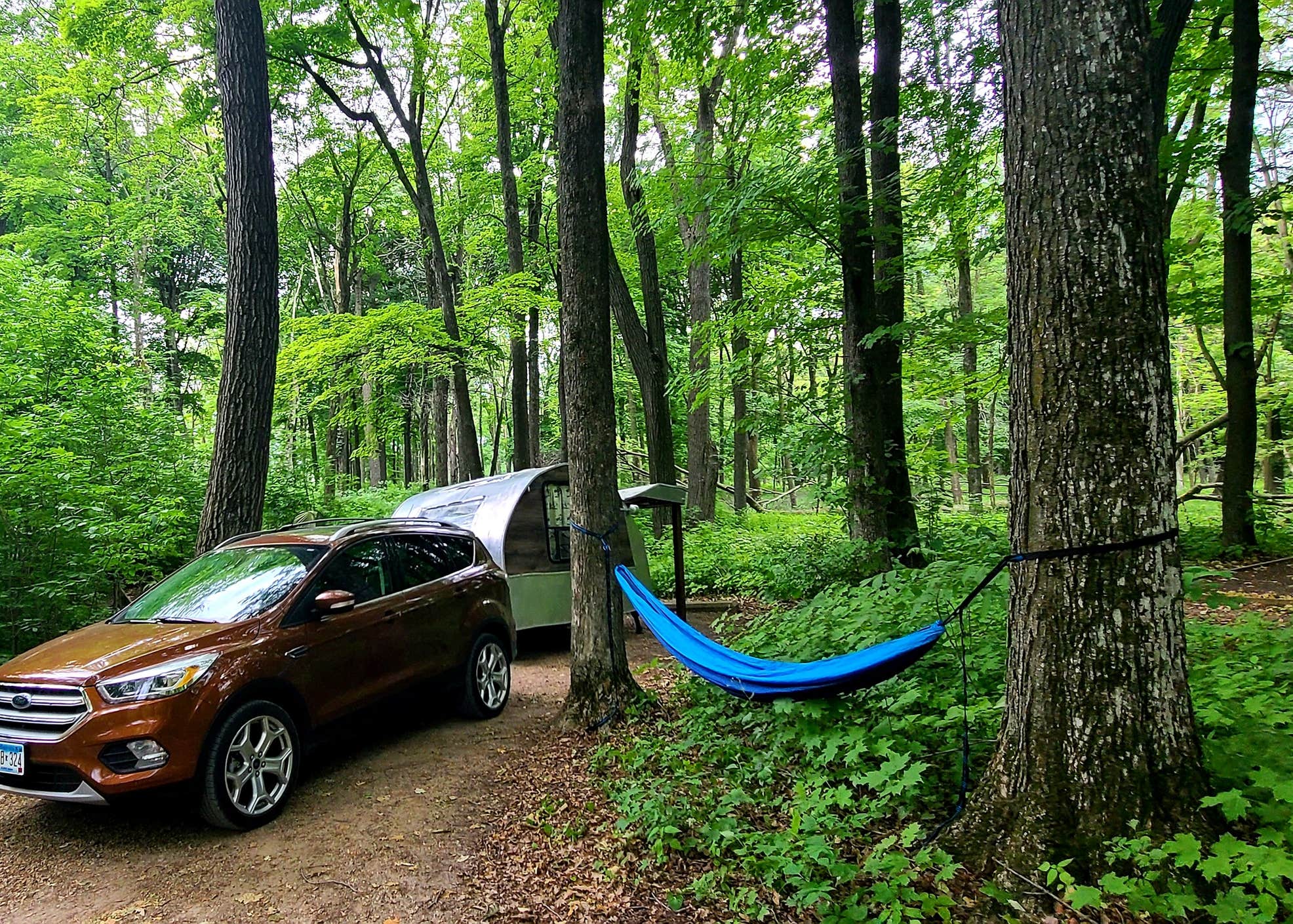 Rice Lake State Park Camping The Dyrt