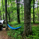 Review photo of Rice Lake Campground — Rice Lake State Park by Bailey W., July 9, 2021