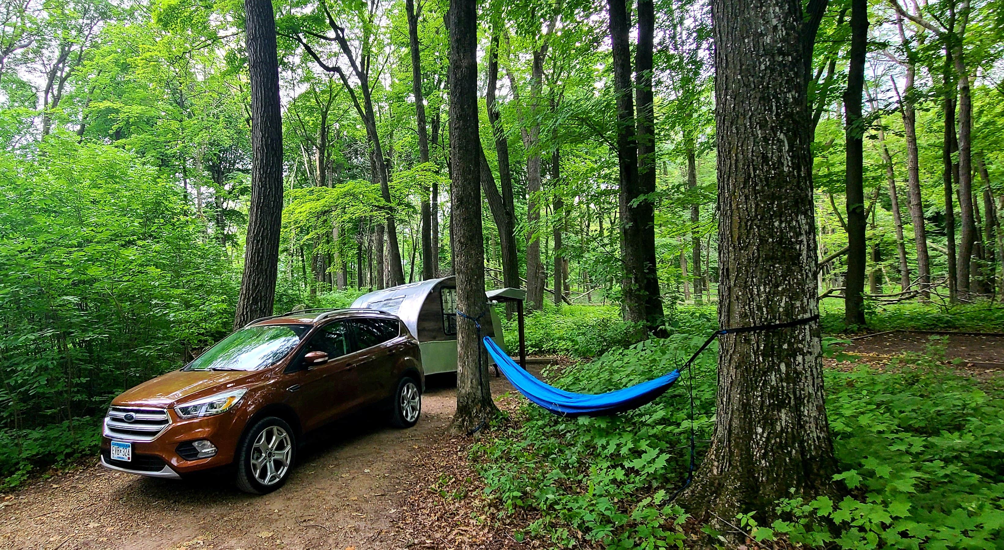 Camper submitted image from Rice Lake Campground — Rice Lake State Park - 1