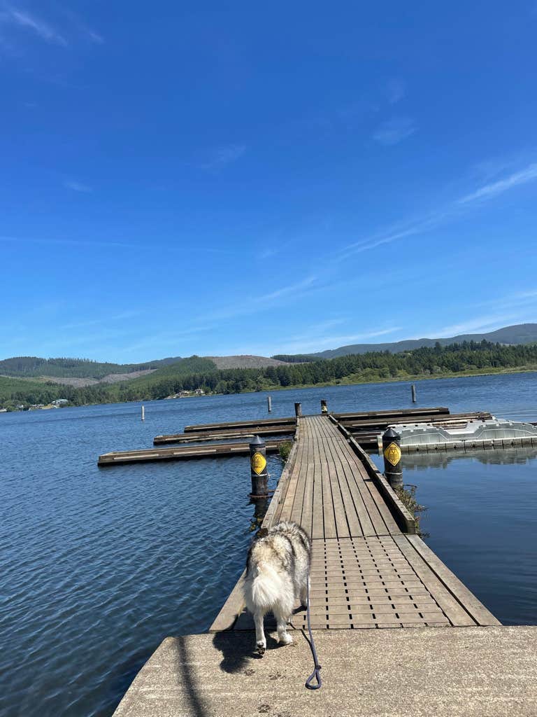 Kathy B.'s photo of camping with pets at Devil’s Lake State Recreation Area Campground near Lincoln City, OR