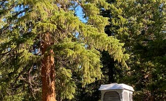 Shelley's photo of rv camping at Falls Campground near Shoshone National Forest