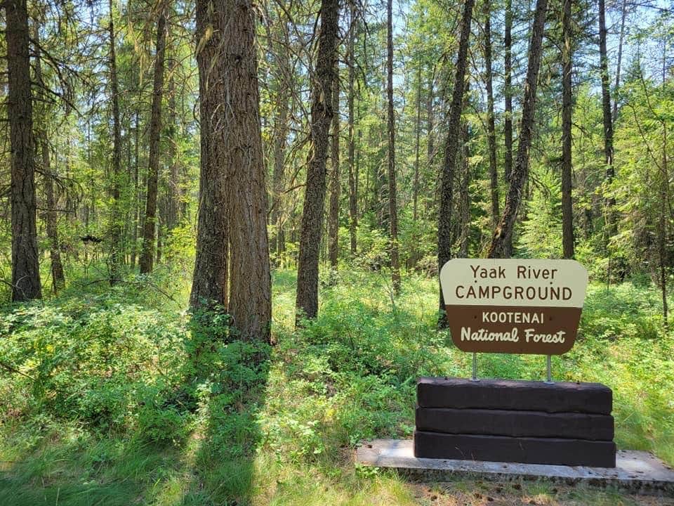 Camper submitted image from Yaak River Campground - 2