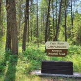 Review photo of Yaak River Campground by The N., July 9, 2021