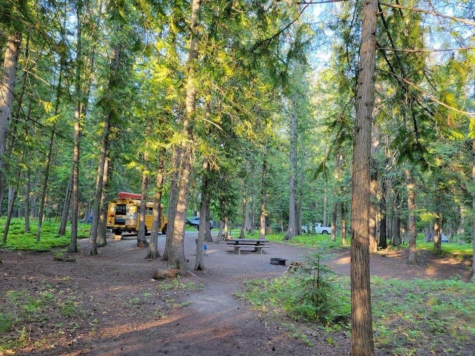 Camper submitted image from Yaak River Campground - 5