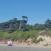 Review photo of Kalaloch Campground - group — Olympic National Park by Margaret S., July 9, 2021
