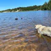 Review photo of Jessie M. Honeyman Memorial State Park Campground by Kathy B., July 9, 2021