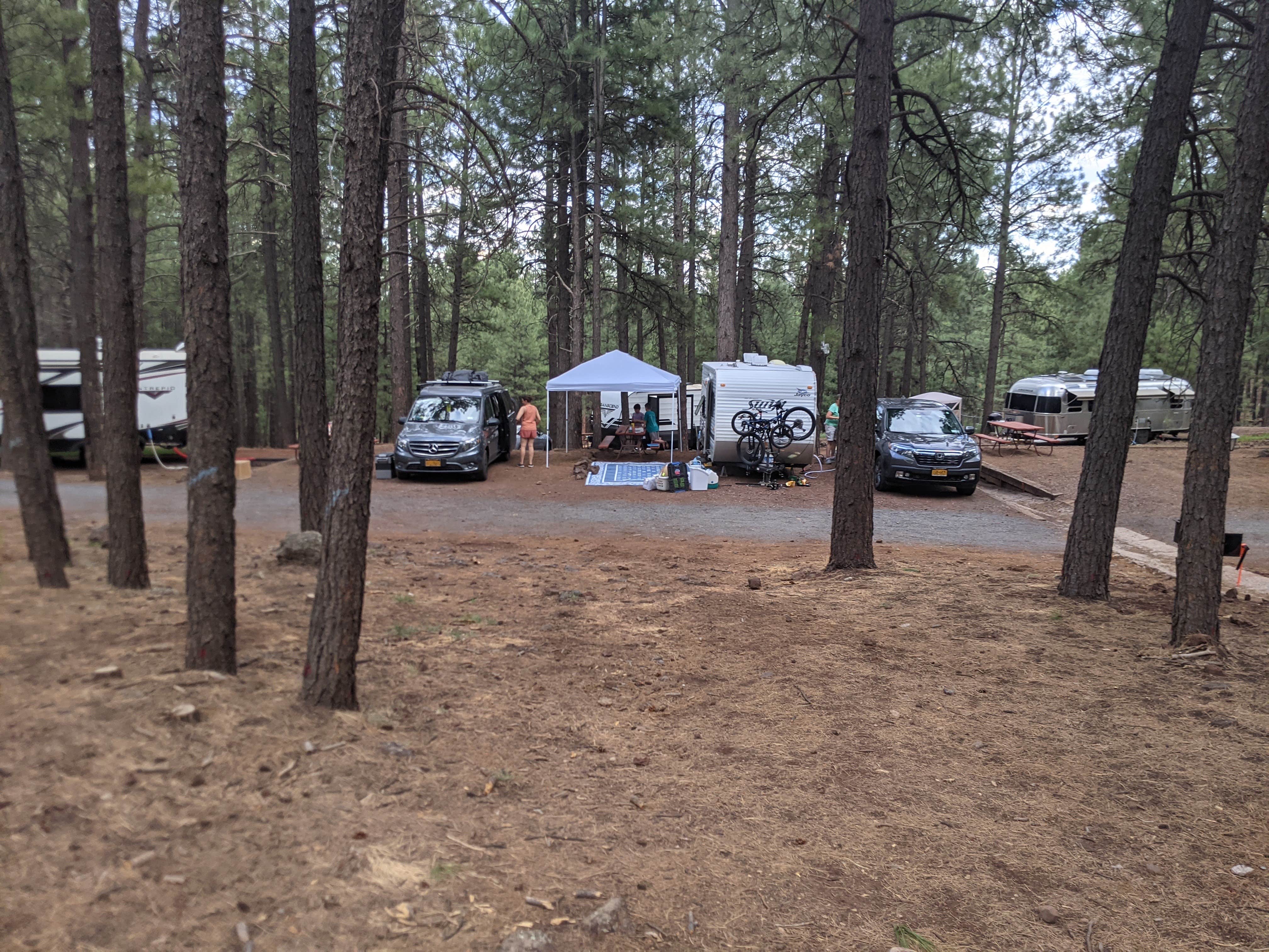 Escape to the Pines: Arizona's Woody Mountain Campground & RV Park