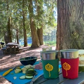 Review photo of Wild Goose Campground by Shelley , July 9, 2021
