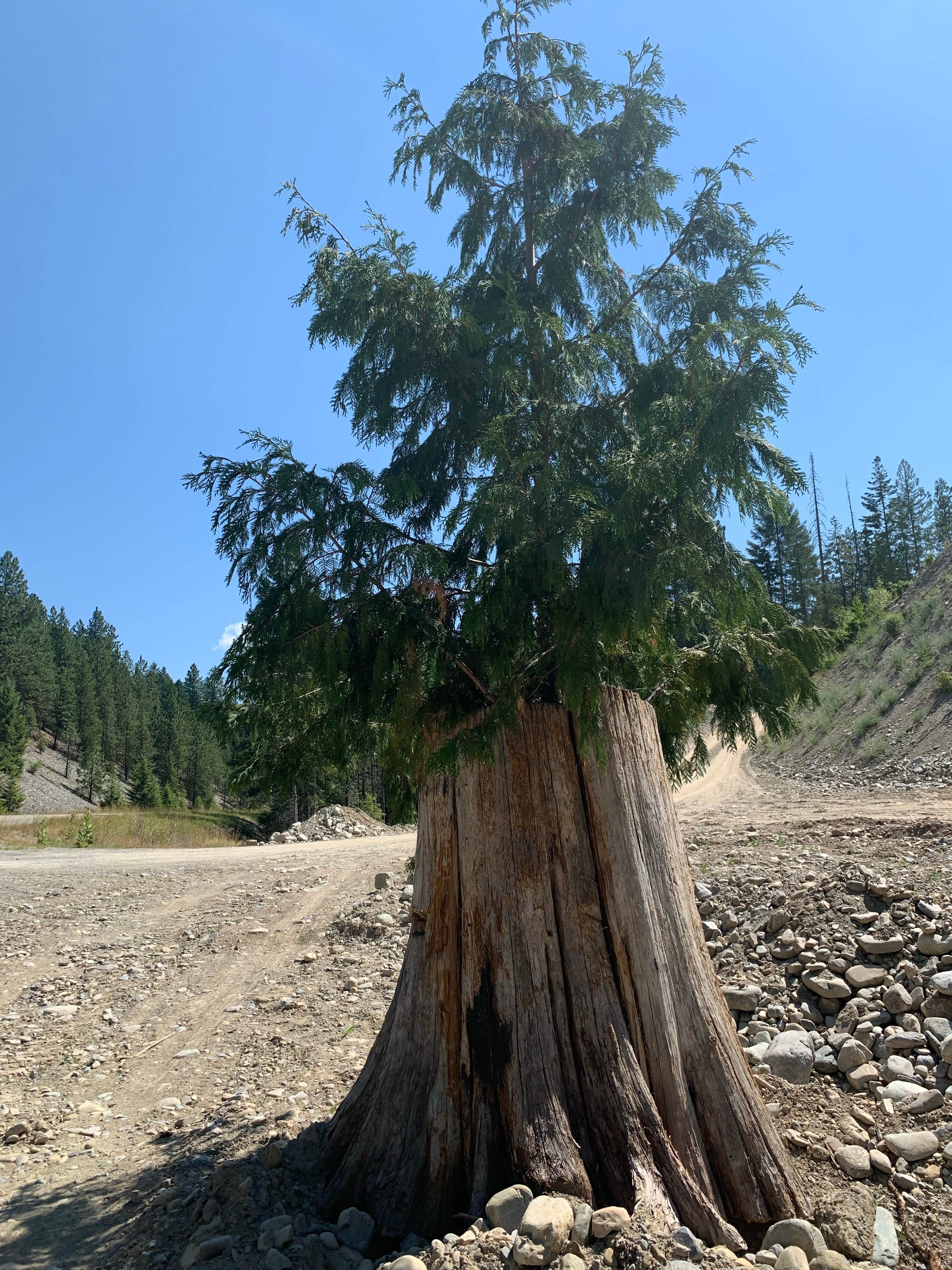 Camper-submitted photo at Whitetail Campground near Eureka, MT