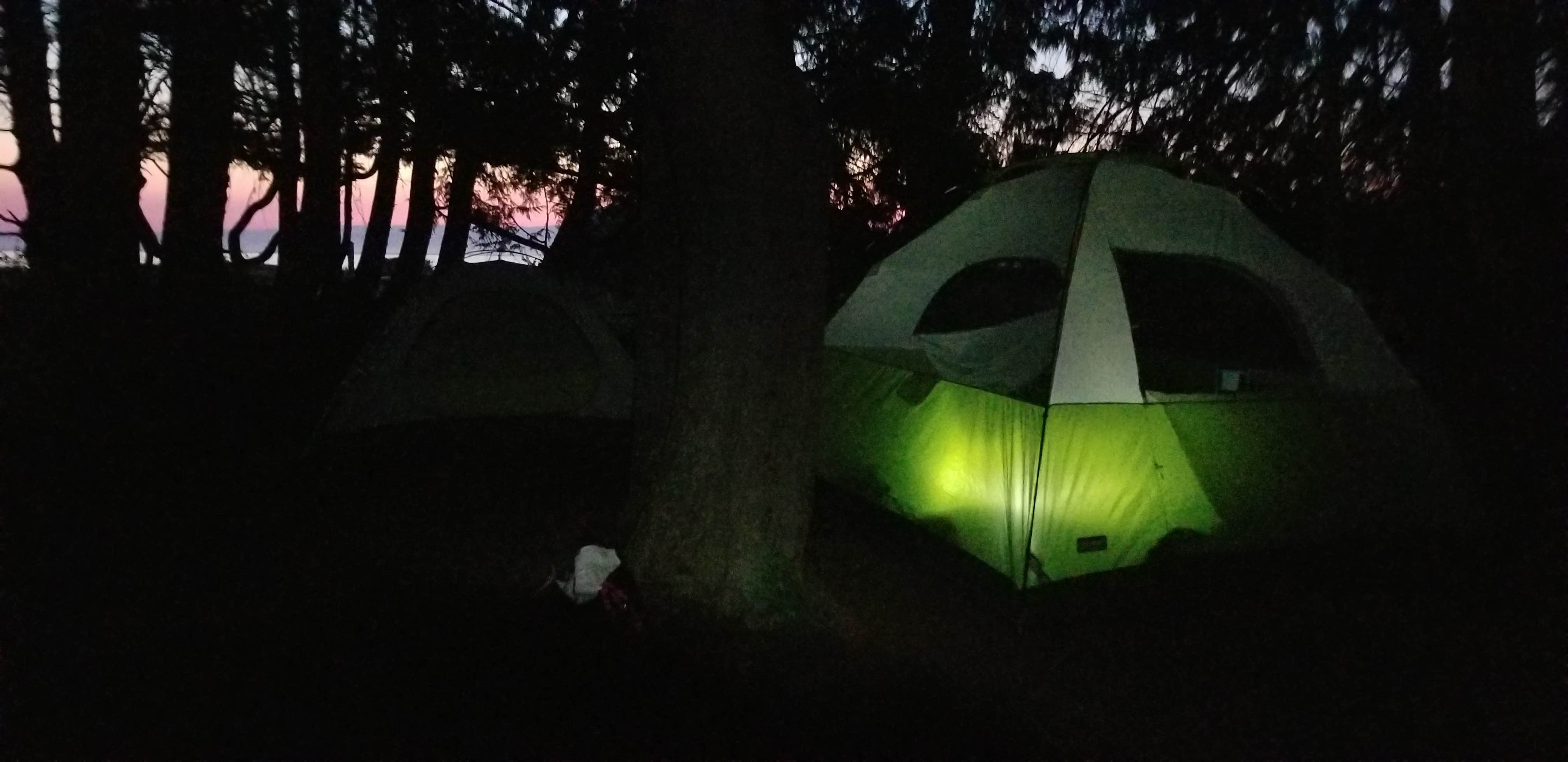 Margaret S.'s photo at Crescent Beach & RV Park near Joyce, WA