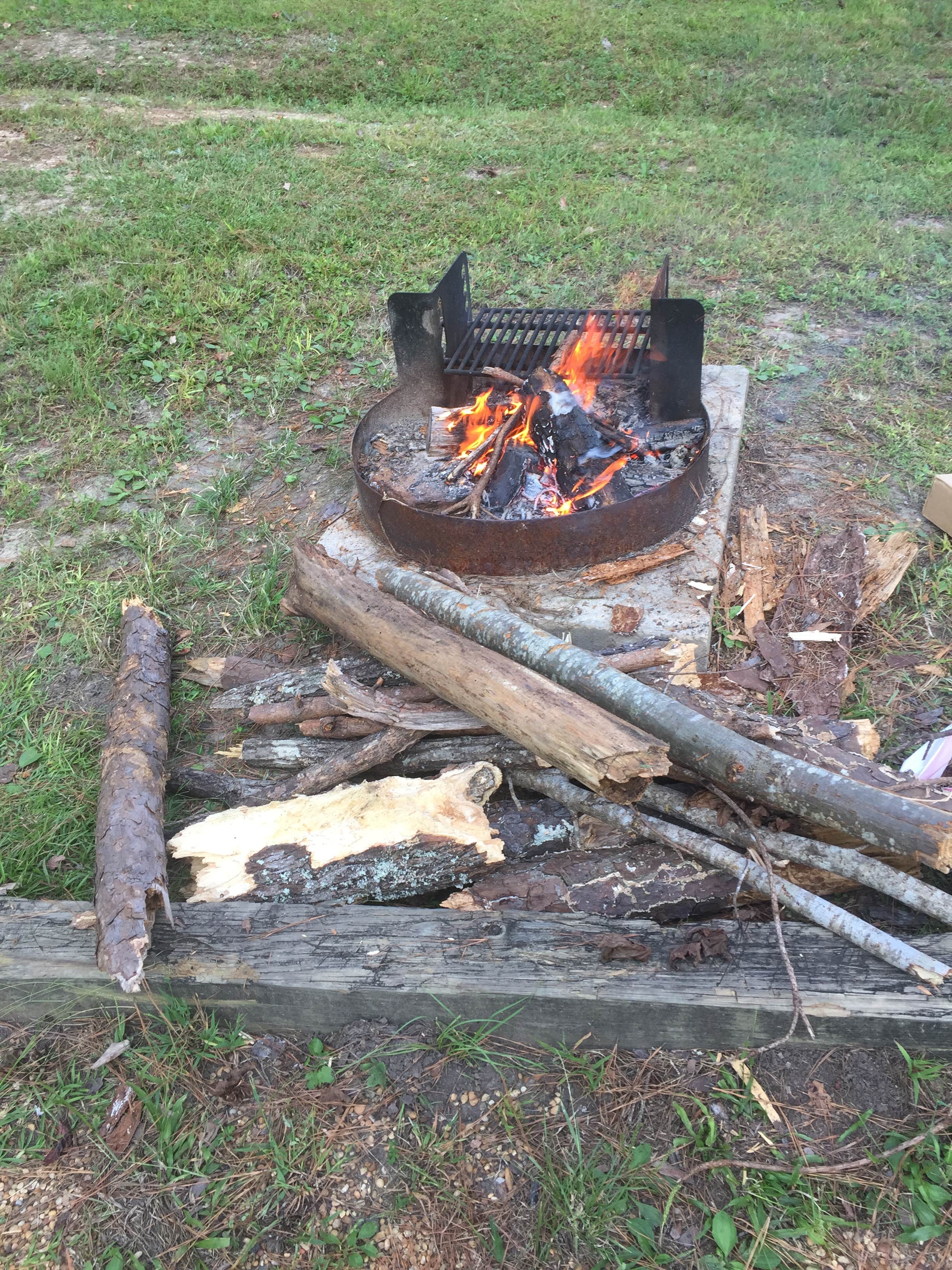 Camper submitted image from Payne Lake West Side - 5