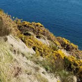 Review photo of Fort Ebey State Park by Margaret S., July 9, 2021