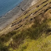 Review photo of Fort Ebey State Park Campground by Margaret S., July 9, 2021
