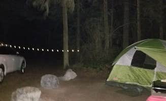 Margaret S.'s photo of tent camping at Fort Ebey State Park Campground near Freeland, WA