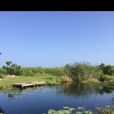 Review photo of Gulf State Park Campground by Missy W., June 13, 2018