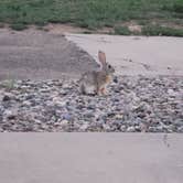 Review photo of American RV Resort by Sarah R., July 9, 2021