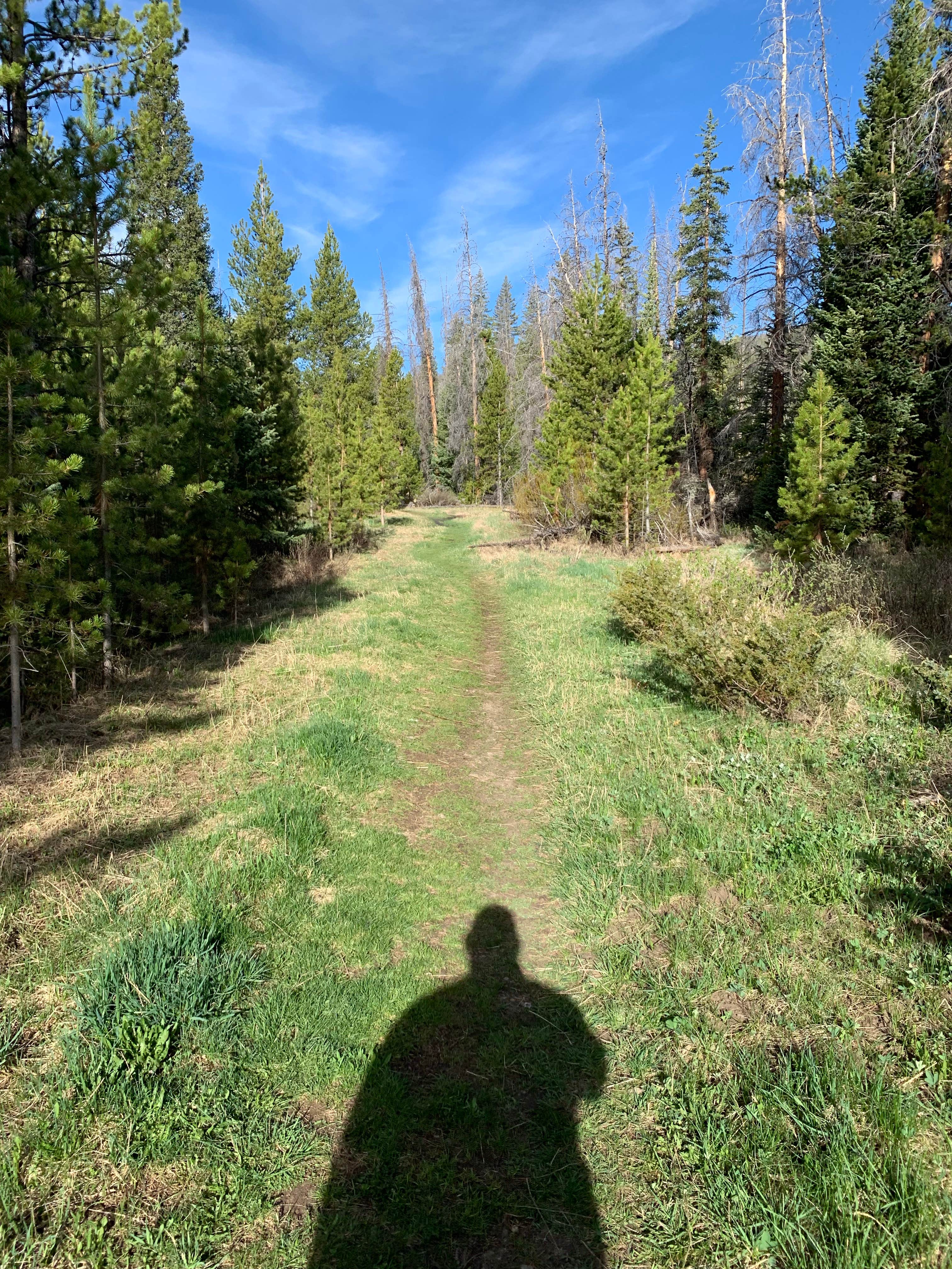 Camper-submitted photo at St. Louis Creek Campground near Tabernash, CO