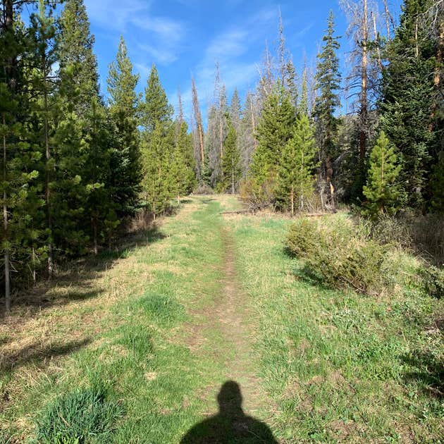 St. Louis Creek Campground Camping | The Dyrt