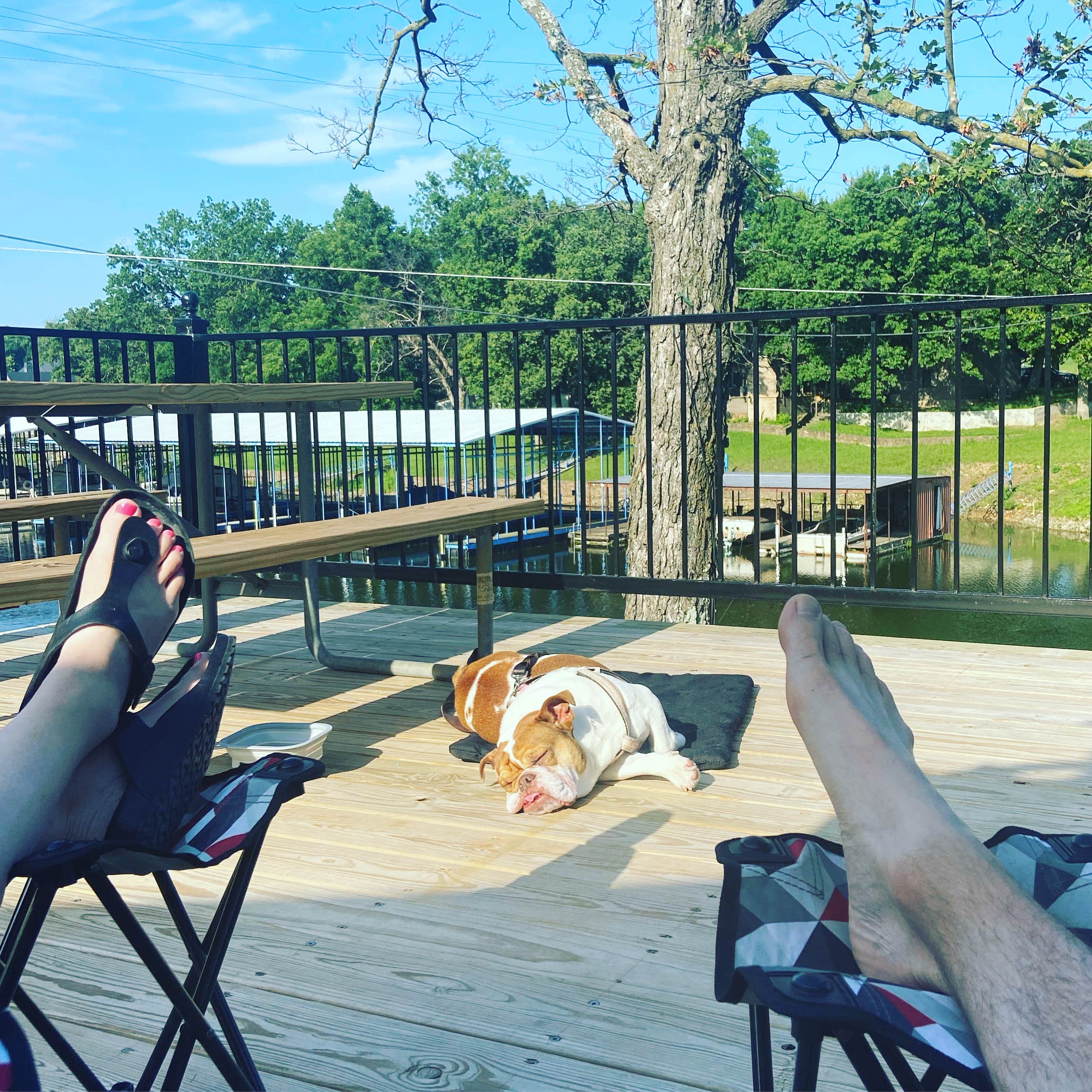 Brandy C.'s photo of camping with pets at Waters Edge RV & Cabin Resort near Oologah Lake