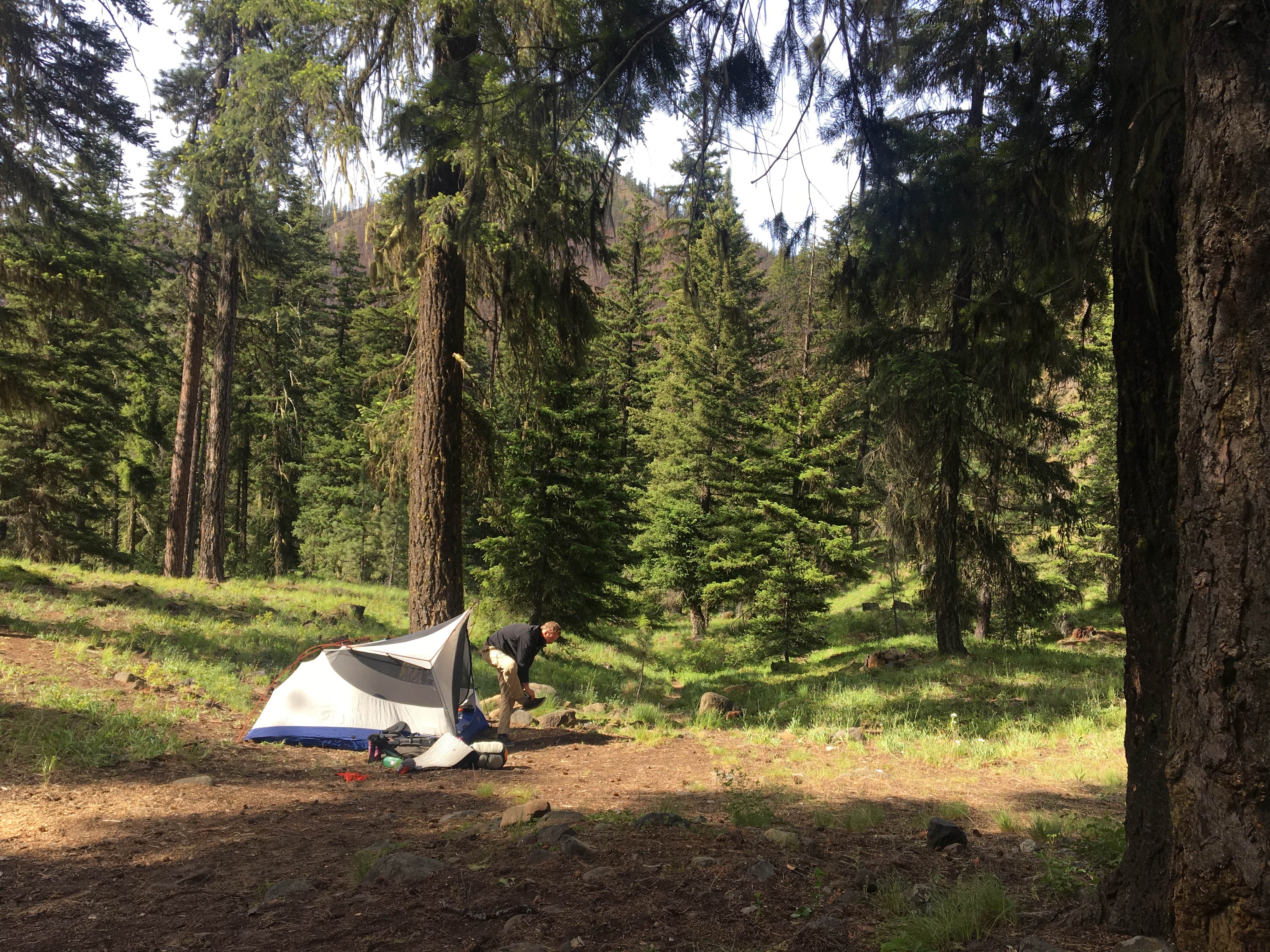 Camper-submitted photo at Teanaway Campground near Cle Elum, WA