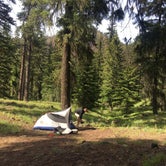 Review photo of Teanaway Campground by Zach A., June 13, 2018