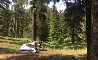 Zach A.'s photo at Teanaway Campground near Thorp, WA