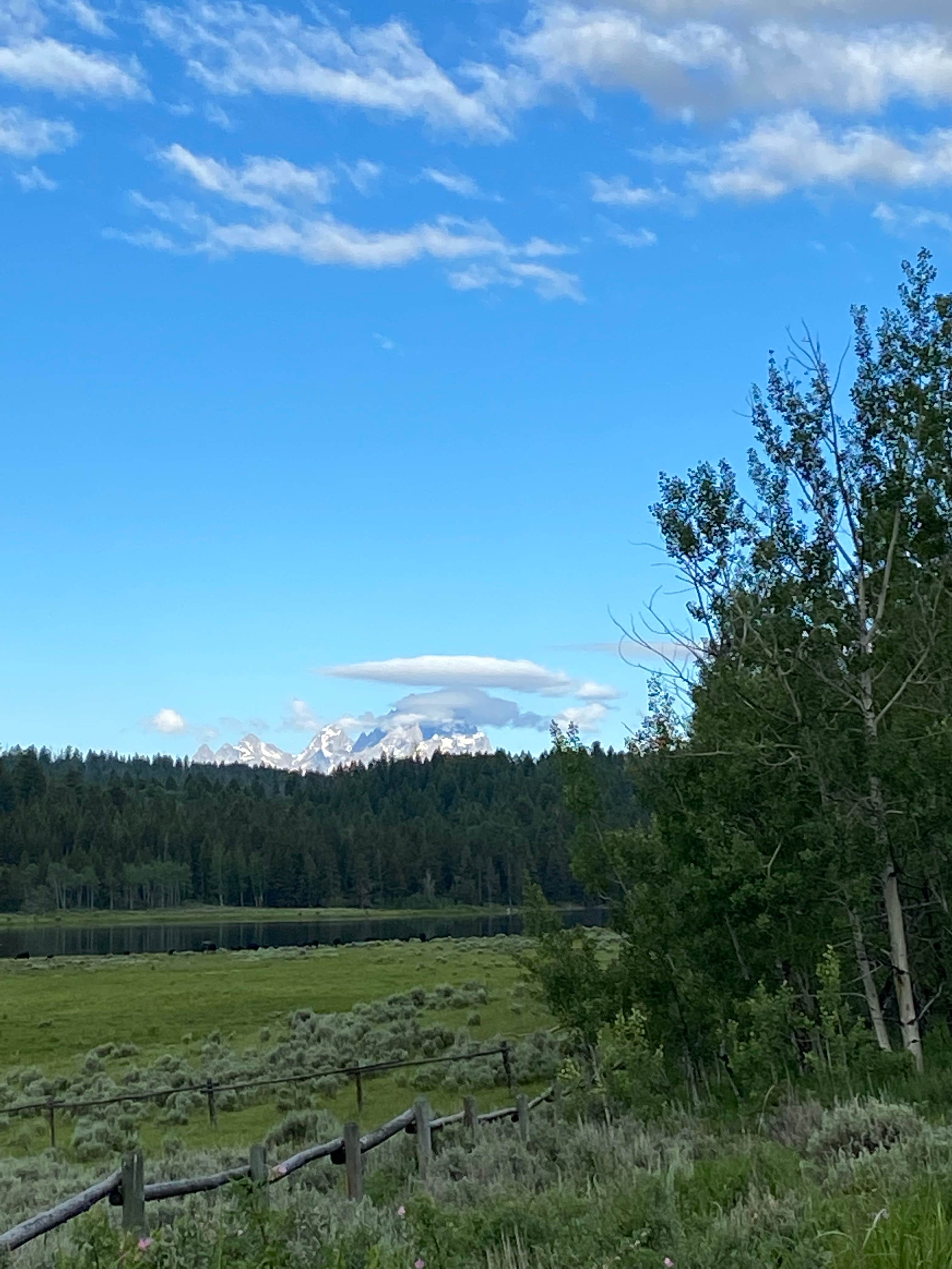 Camper submitted image from Turpin Meadows Dispersed Campground - 1