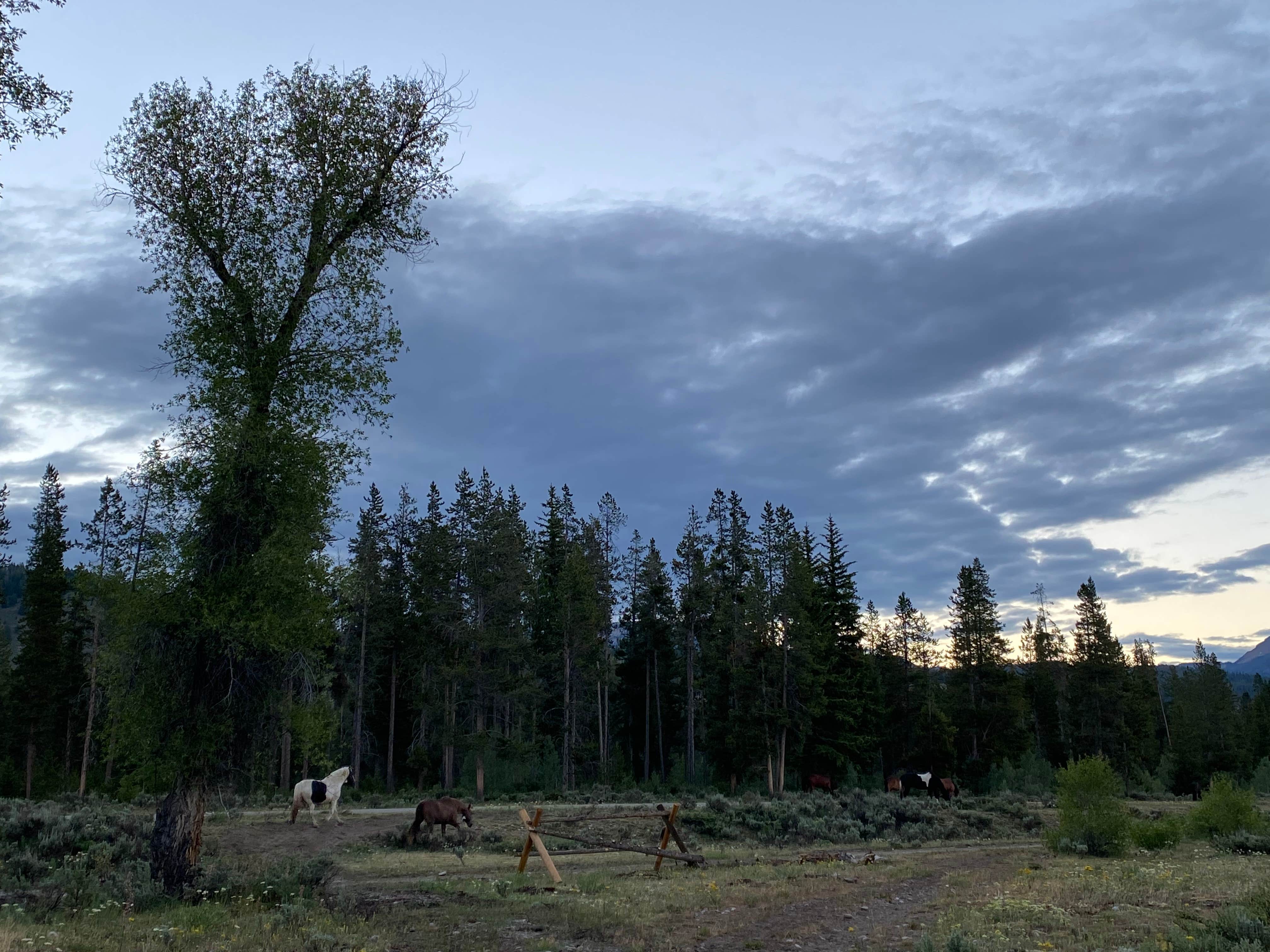 Camper-submitted photo at Turpin Meadows Campground near Moran, WY