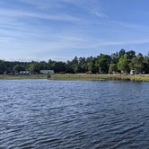 Review photo of Eagle Hammock RV Park by Thom C., July 9, 2021