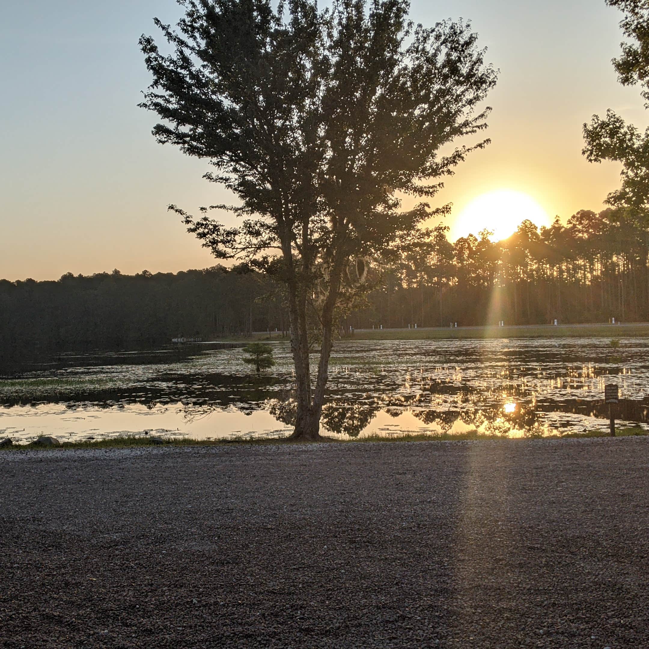 Eagle Hammock RV Park Camping The Dyrt