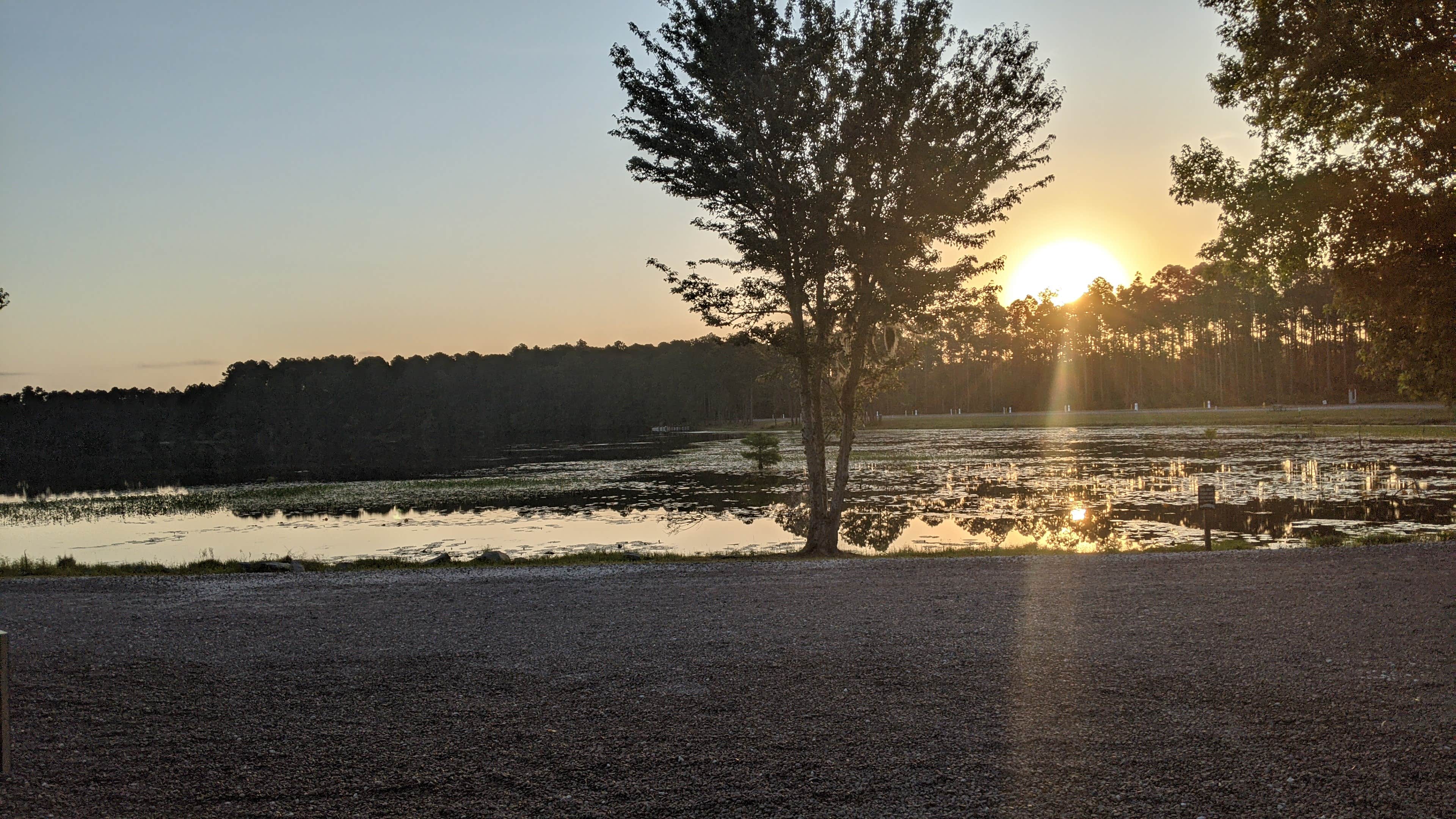 Eagle Hammock RV Park Kings Bay, GA