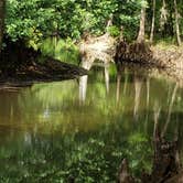 Review photo of Hog Island Recreation Area by Anita , July 9, 2021