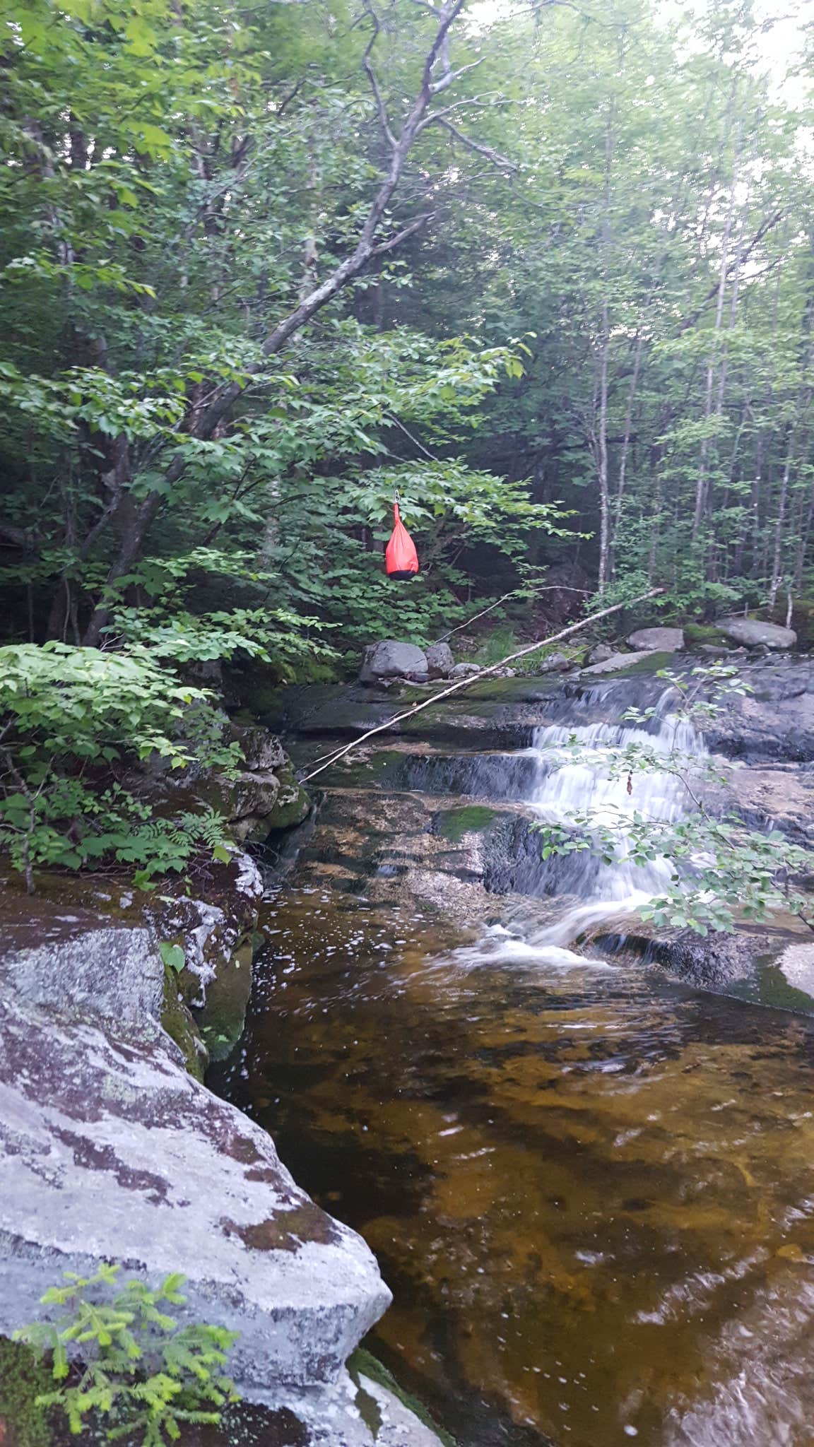 Camper-submitted photo at Grafton Loop Trail - Slide Campsite near Willimantic, ME