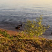 Review photo of Santee Lakes KOA by Thom C., July 9, 2021