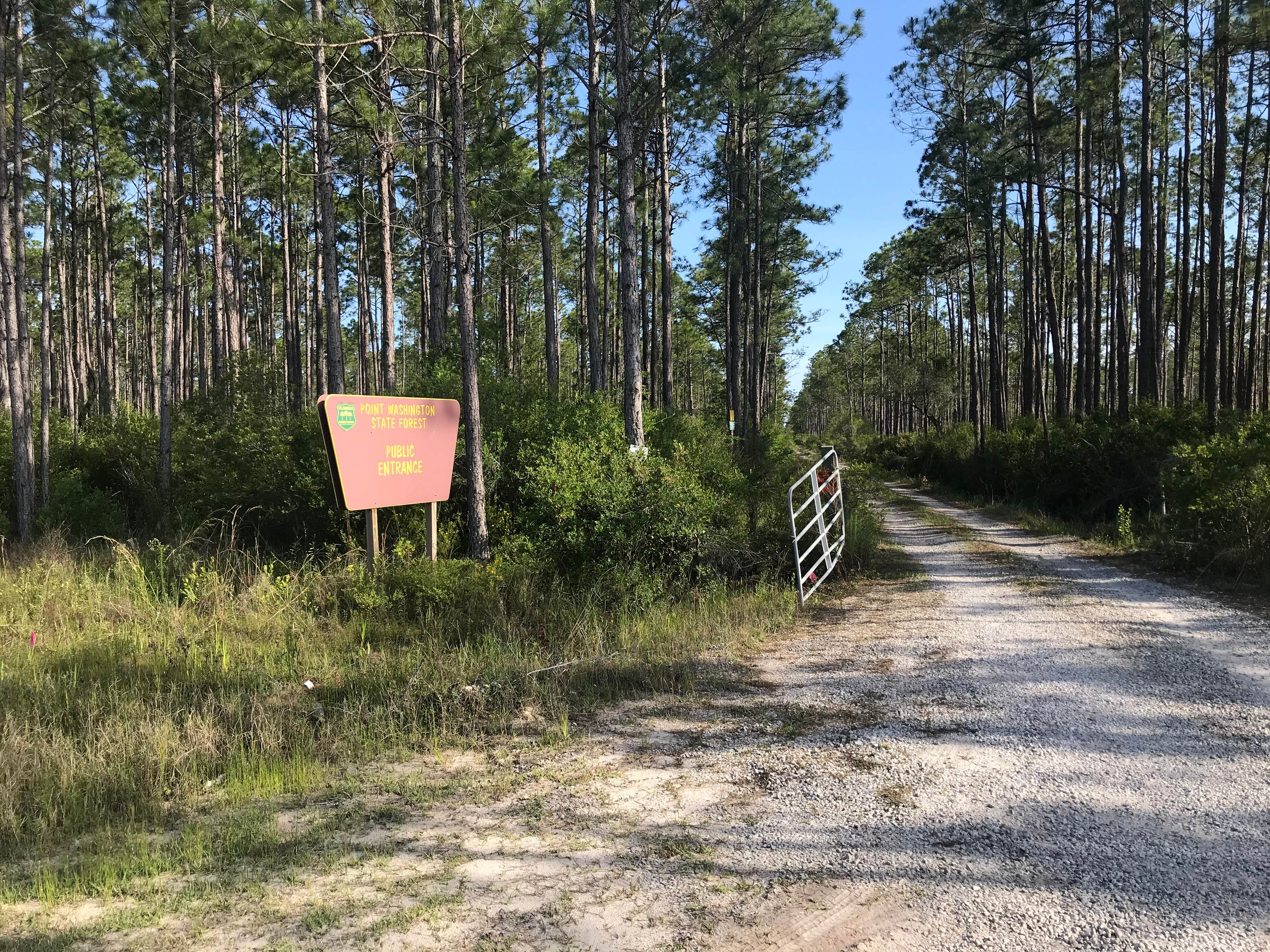 Camper-submitted photo at Eastern Lake Campground 2 — Point Washington State Forest near Navarre, FL