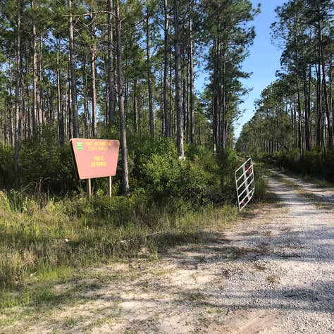 Point Washington | The Dyrt