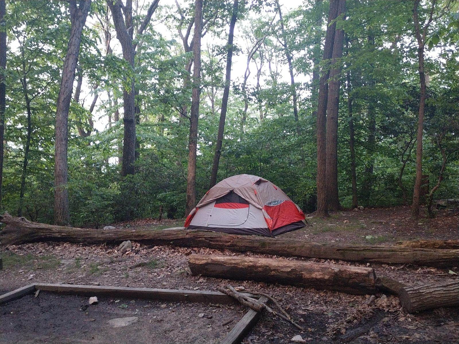 cecile A.'s photo of tent camping at Gathland State Park Campground near Rippon, WV