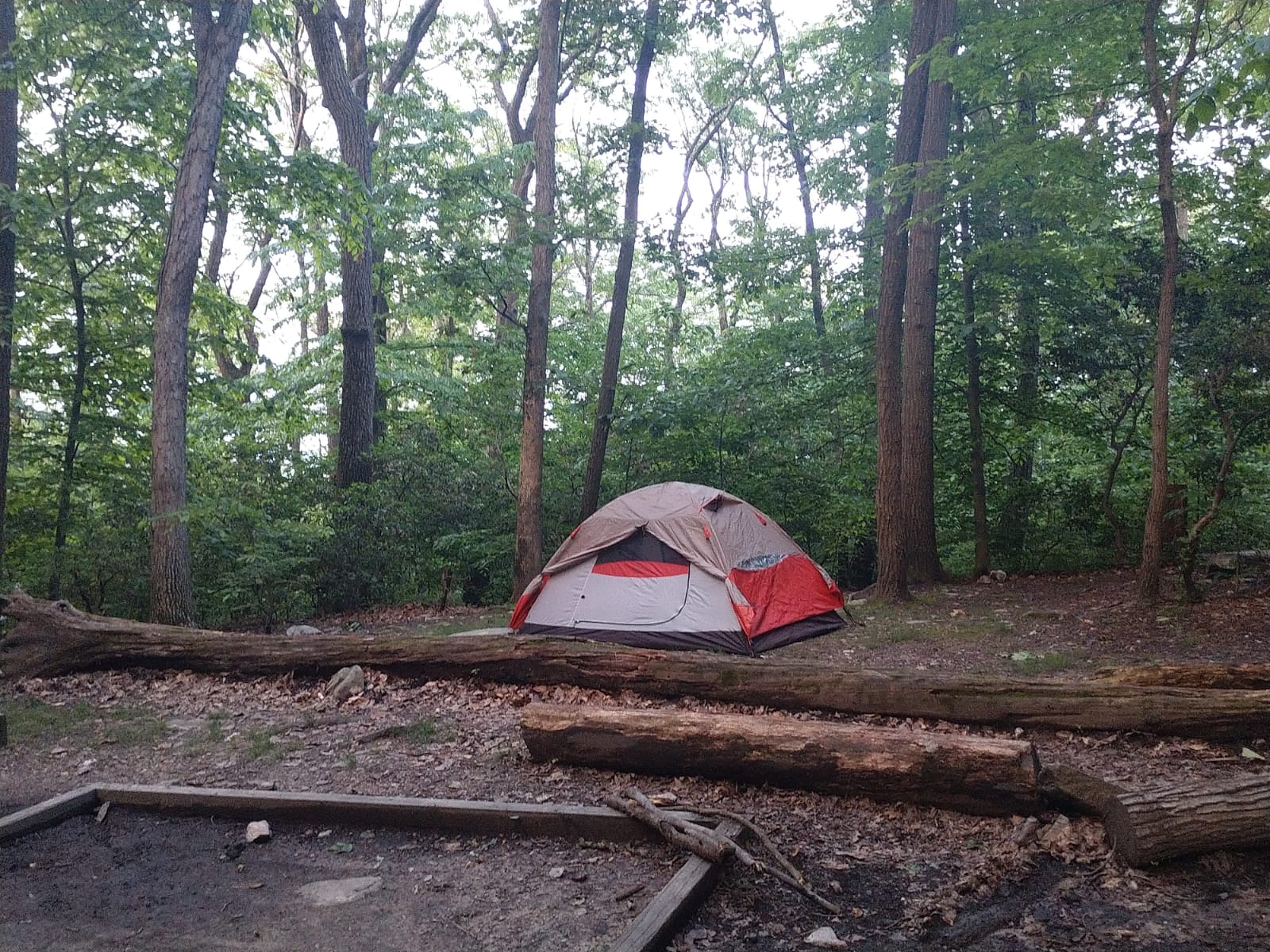 Camper submitted image from Gathland State Park Campground - 1