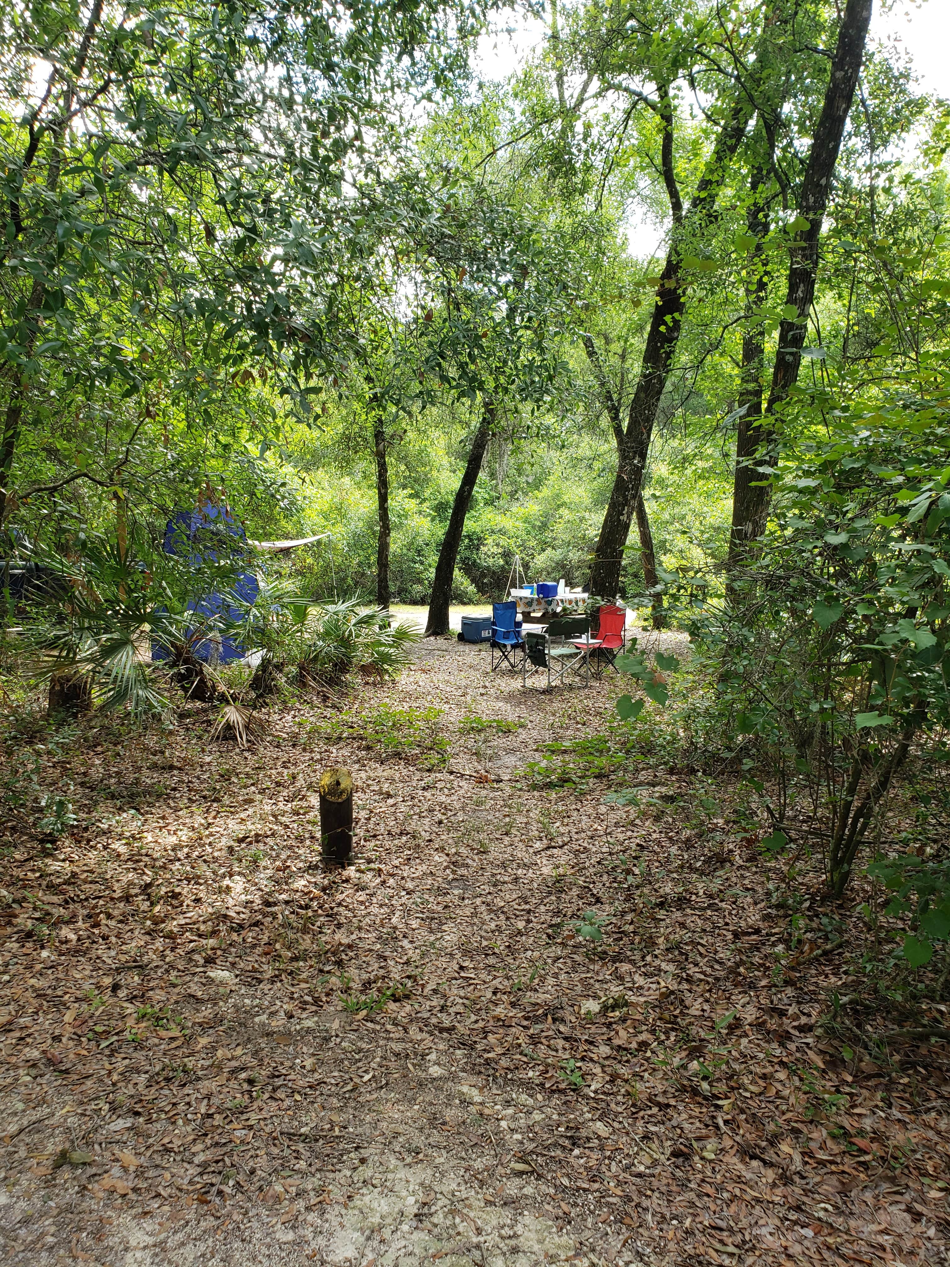 Anita's photo at Hog Island Campground — Withlacoochee State Forest near Bushnell, FL