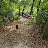 Review photo of Hog Island Recreation Area by Anita , July 9, 2021