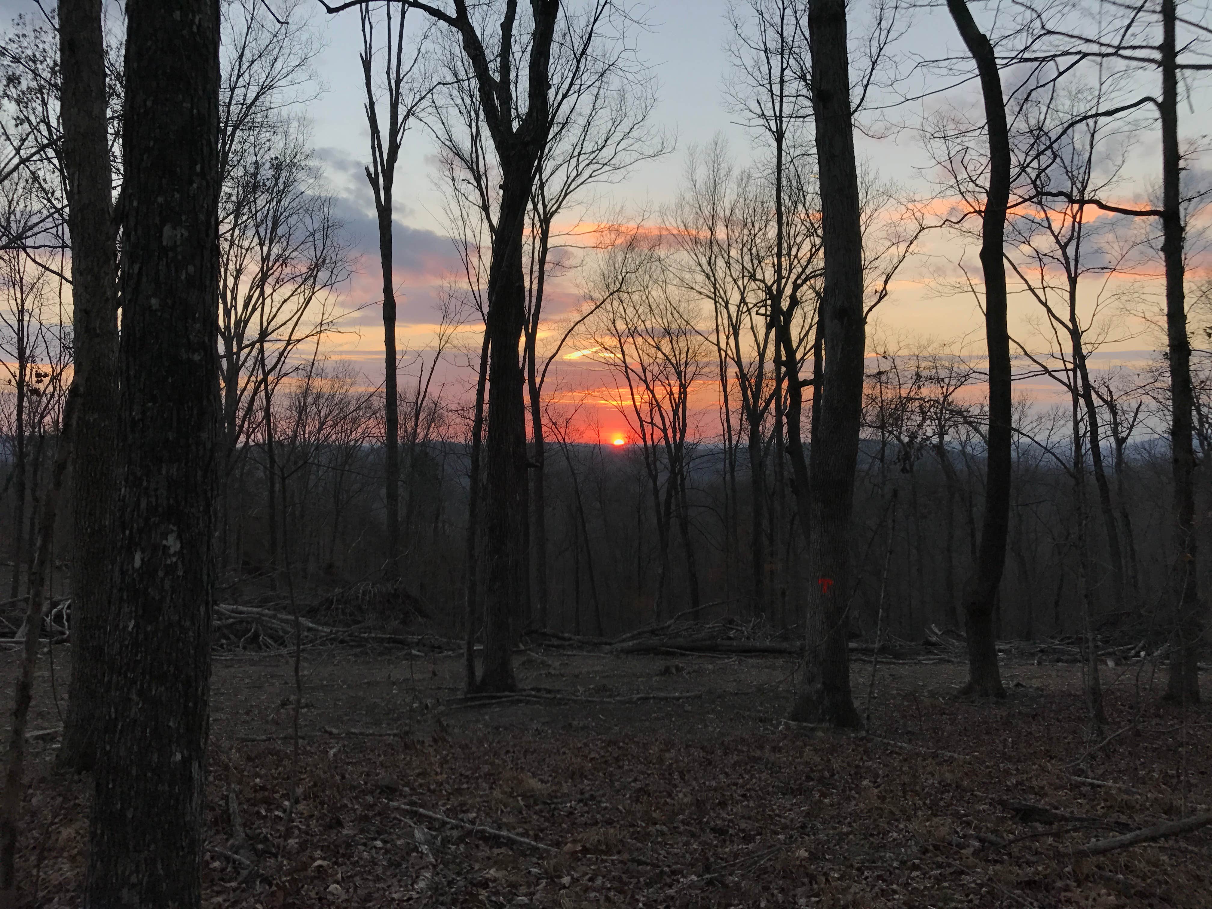 Camper submitted image from Cathedral Caverns State Park Campground - 2