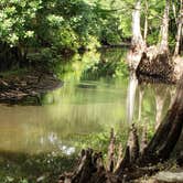 Review photo of Hog Island Recreation Area by Anita , July 9, 2021