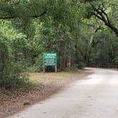 Review photo of Hog Island Recreation Area by Anita , July 9, 2021