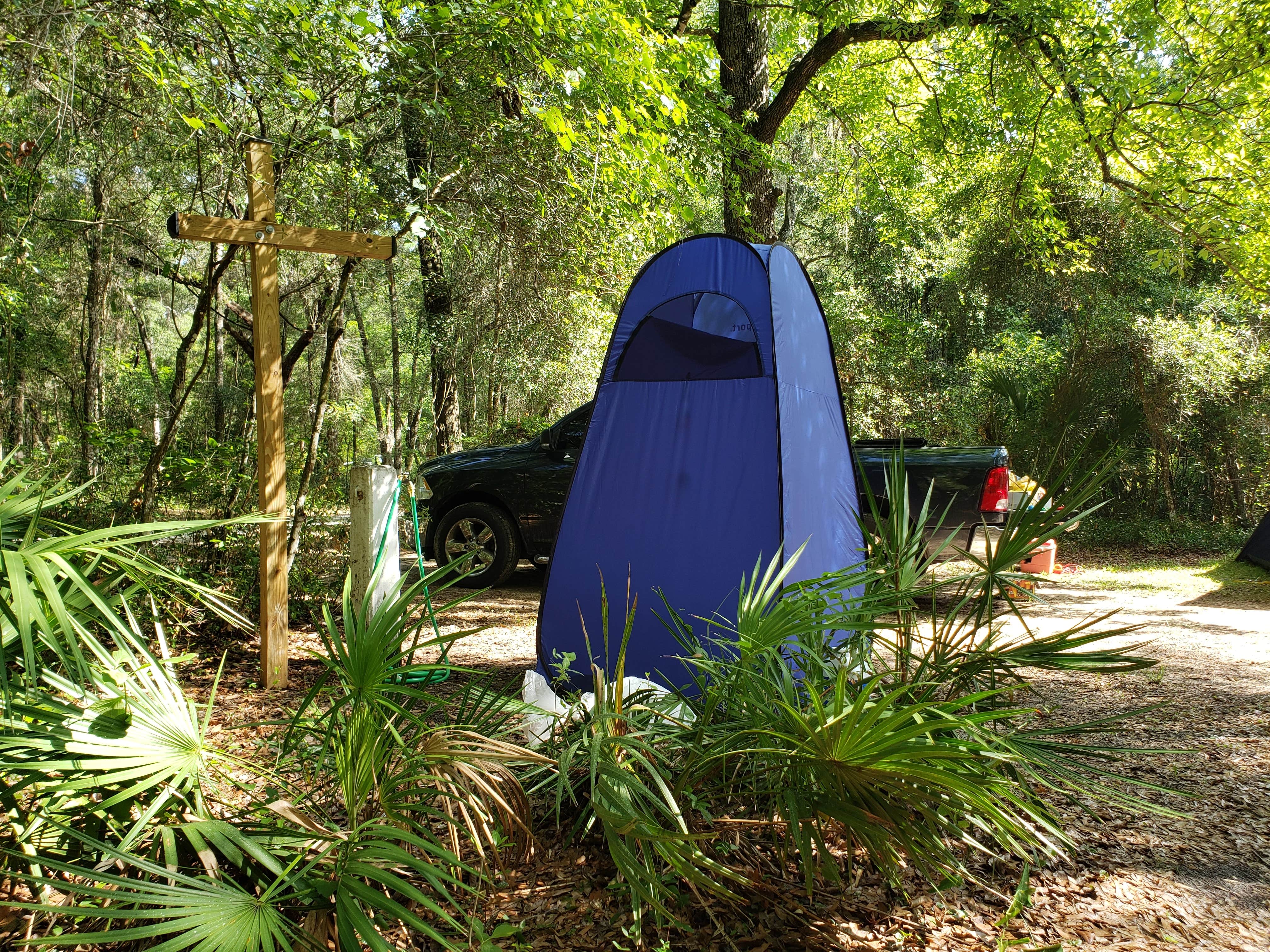 Anita's photo at Hog Island Campground — Withlacoochee State Forest near Webster, FL