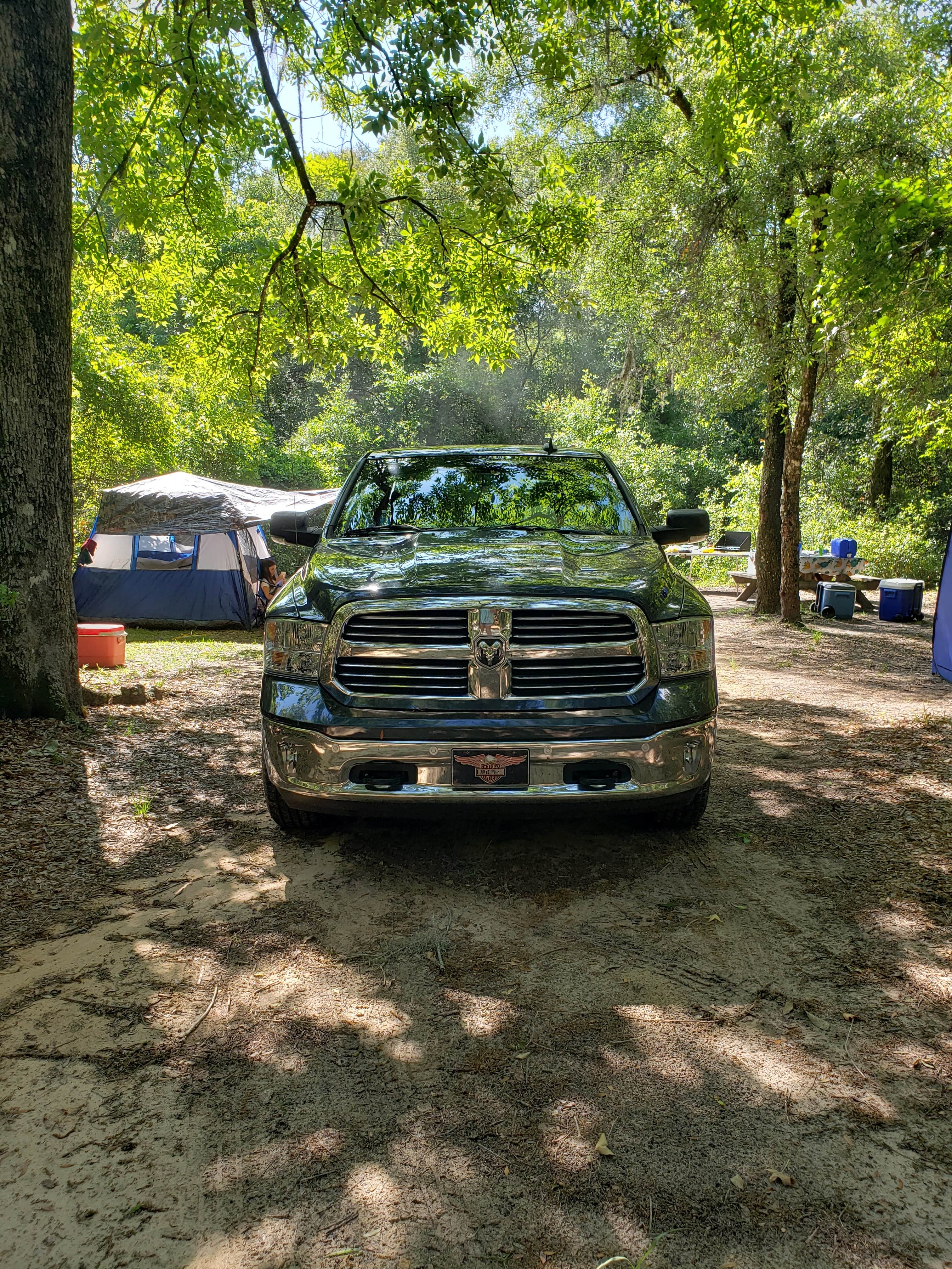 Anita's photo at Hog Island Campground — Withlacoochee State Forest near Webster, FL
